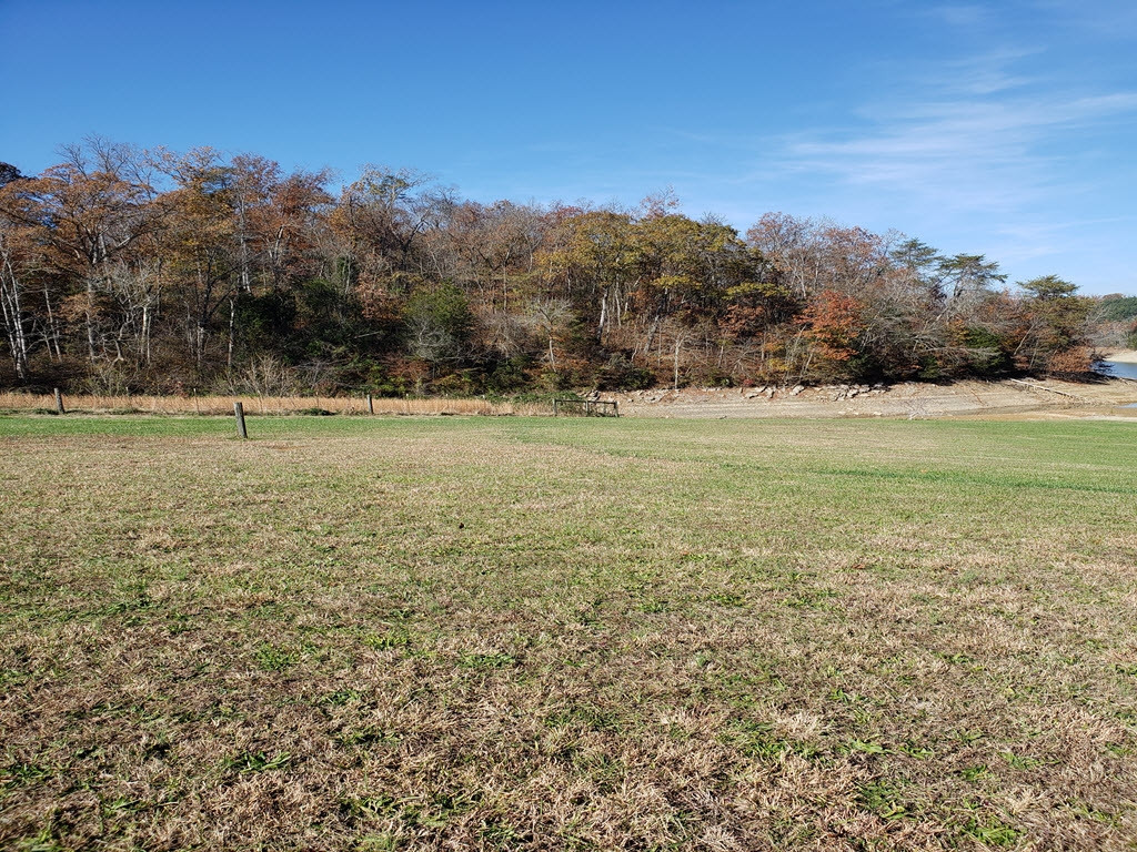 Lot 3 Anderson Bend Road, Unit 3 Russellville, TN 37860 - Photo 12 of 24 Photo 5