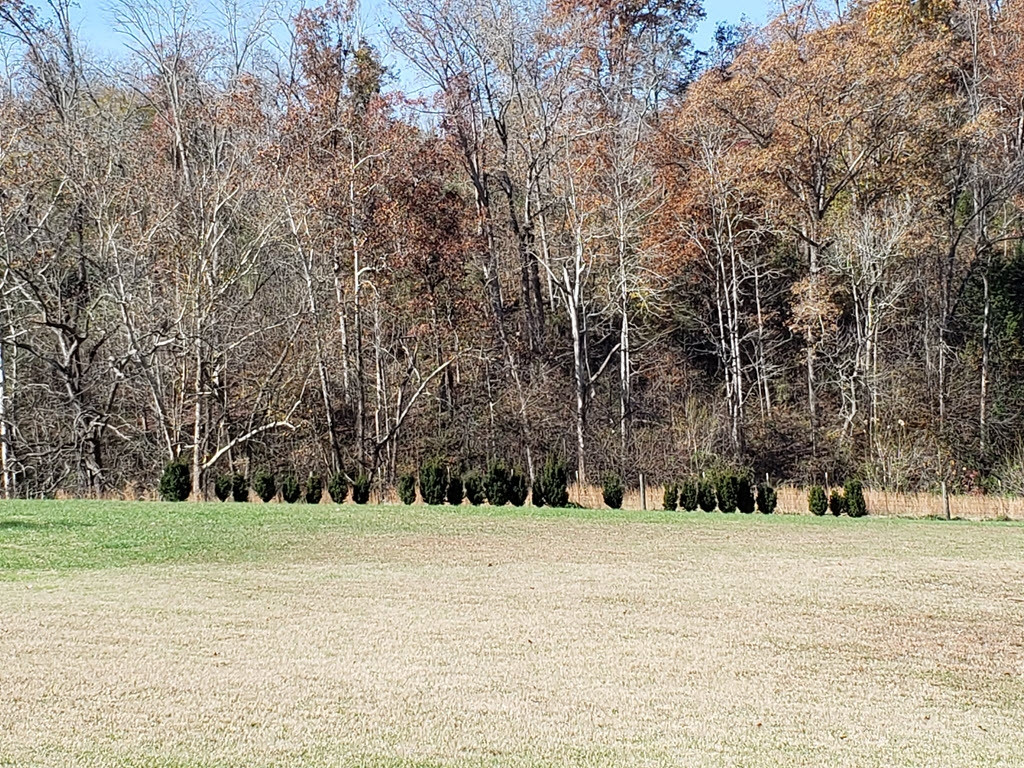 Lot 3 Anderson Bend Road, Unit 3 Russellville, TN 37860 - Photo 22 of 24 Photo 15