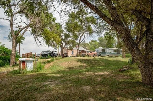 a view of a park with large trees