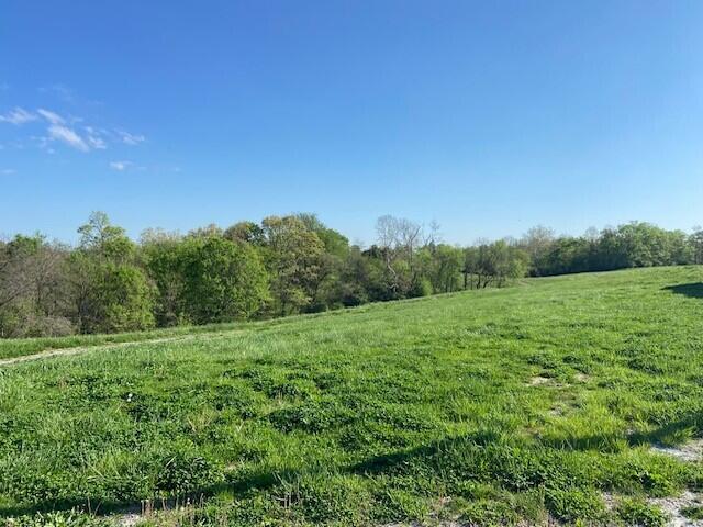2451 Sardis Road Mount Olivet, KY 41064 - Photo 23 of 42