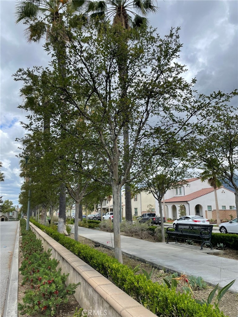 810 The Promenade, Unit C Azusa, CA 91702 - Photo 6 of 38 a front view of a house with a garden and tree