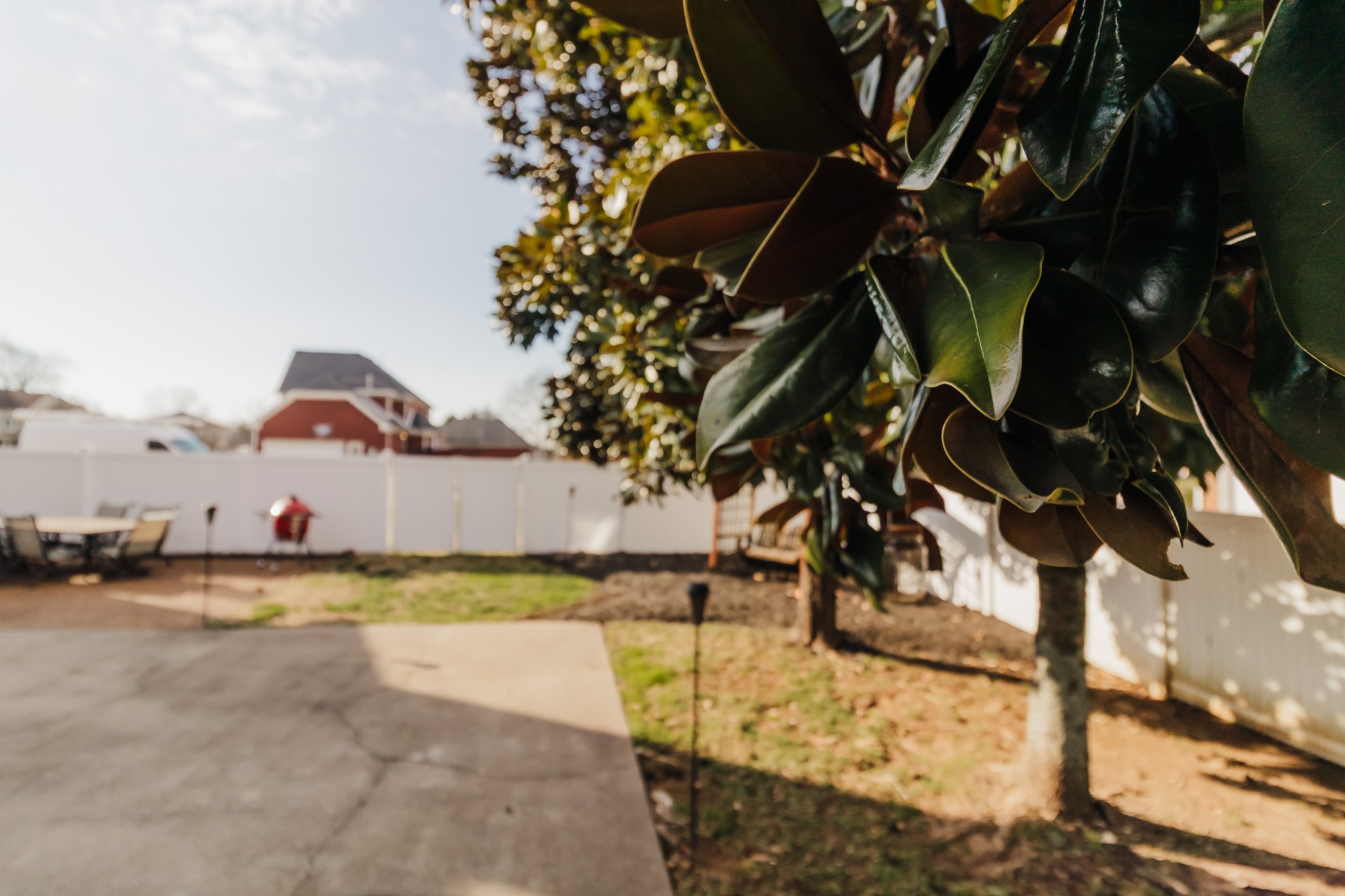 203 Savannah Ridge Murfreesboro, TN 37127 - Photo 55 of 60 a view of yard along with trees