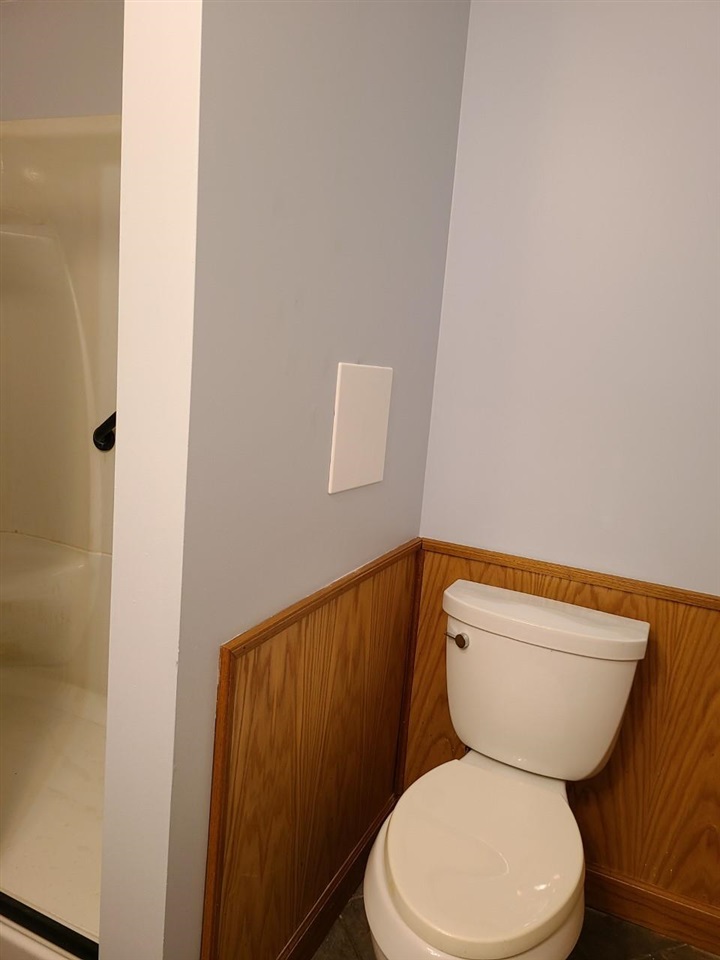9217 Bridge Street Dimondale, MI 48821 - Photo 23 of 33 Gallery Image 23