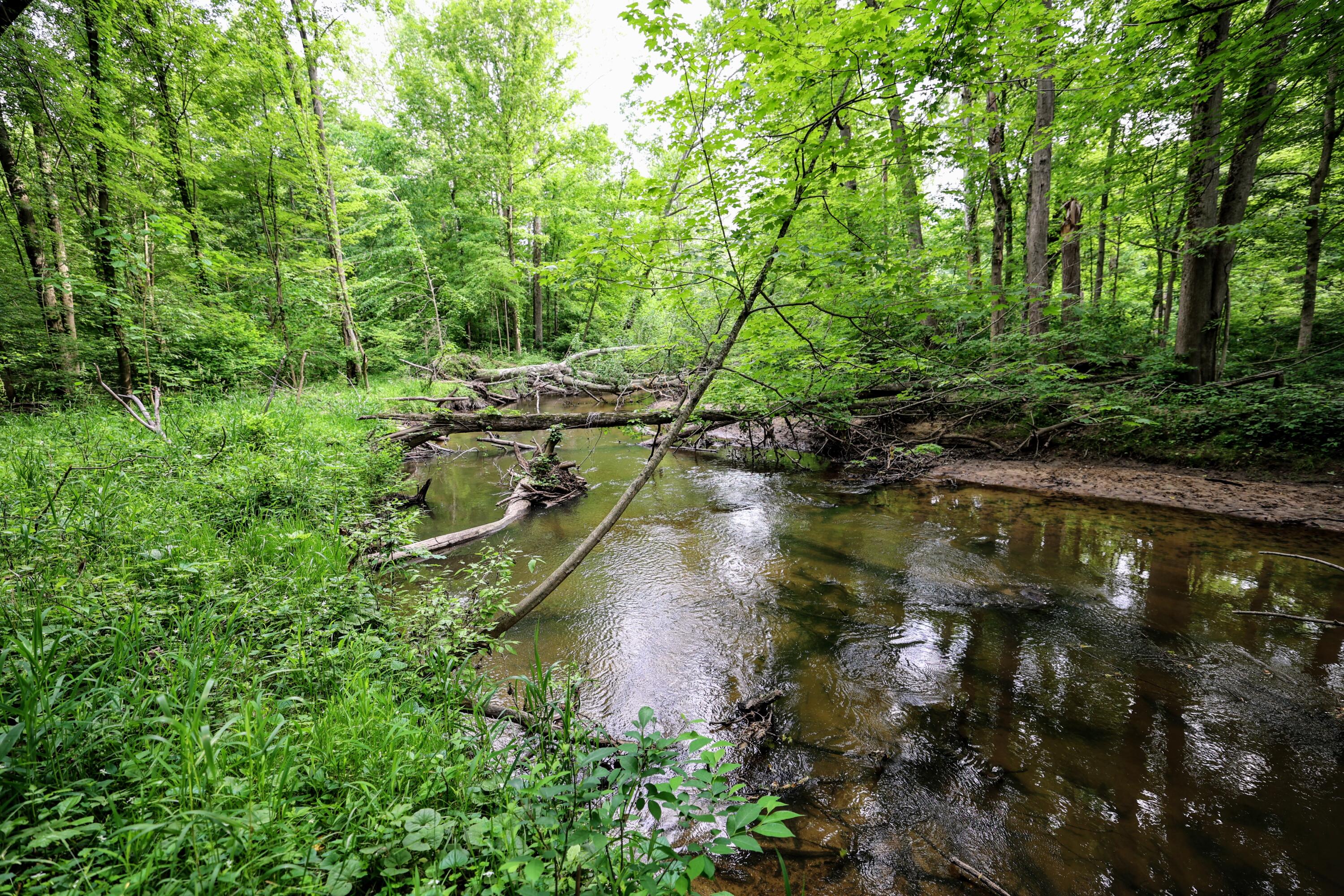 Vl Black River Road Bangor, MI 49013 - Photo 1 of 54 1