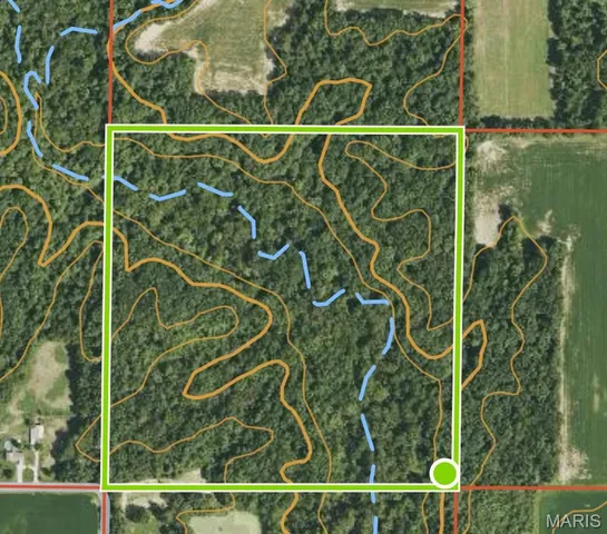 $220,000 | 8680 Seavers Road, Iuka, IL 62849