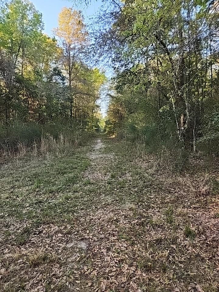 3 Paul Road Bay Minette, AL 36507 - Photo 2 of 4