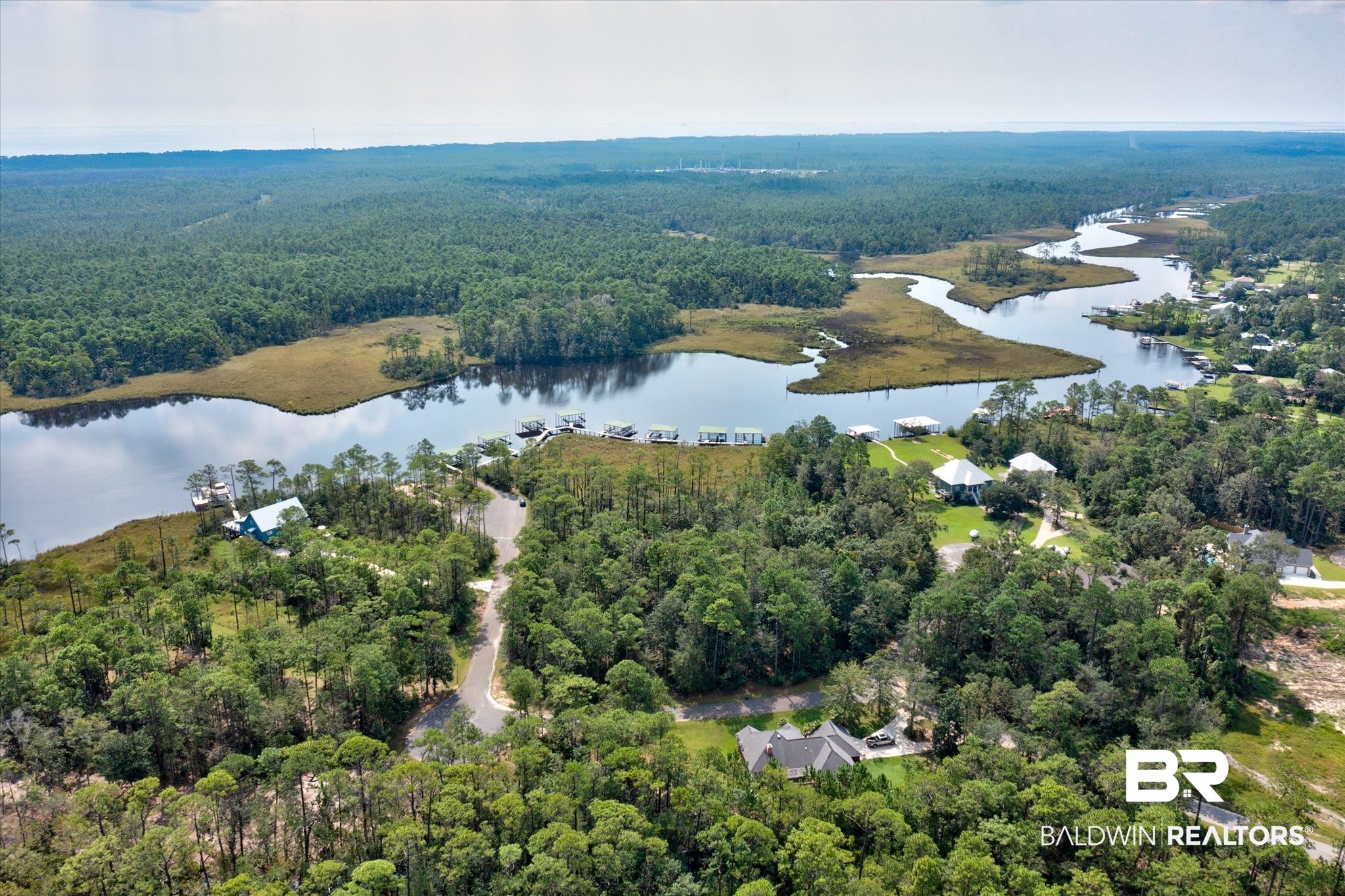 Palmetto Point Theodore, AL 36582 - Photo 3 of 16