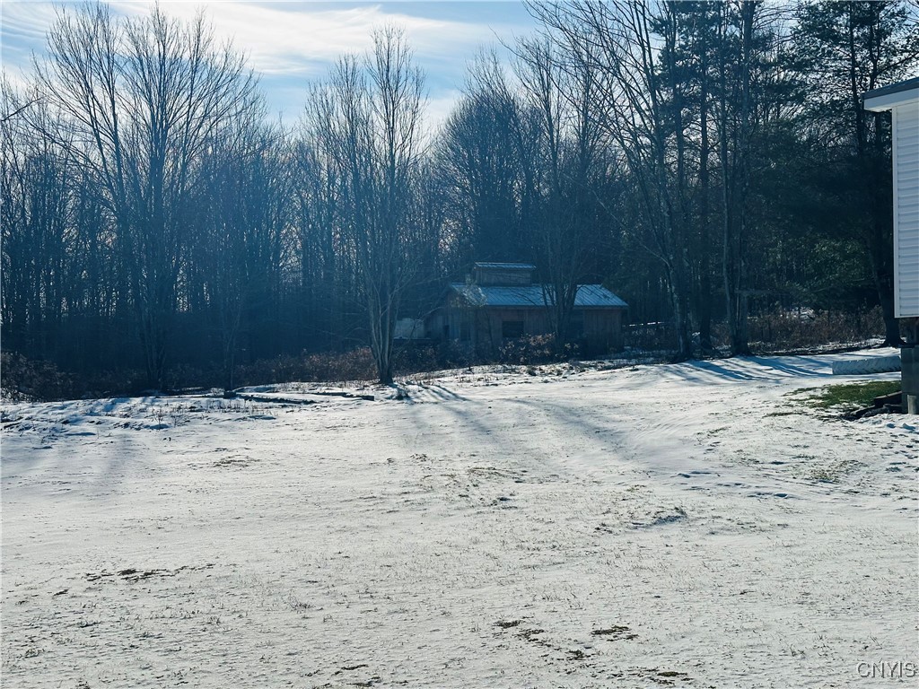 4280 Freetown Cross Road Cincinnatus, NY 13040 - Photo 25 of 32