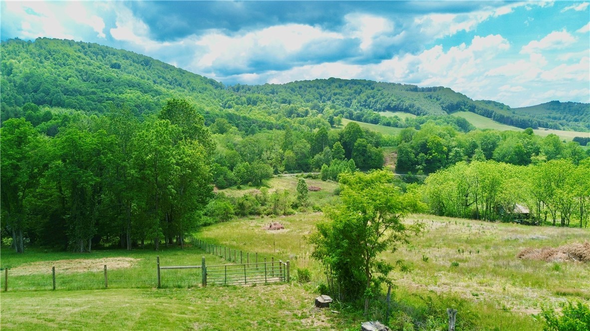 1315 Irwin Grocery Road Laurel Springs, NC 28644 - Photo 18 of 22 a view of a golf course with a garden