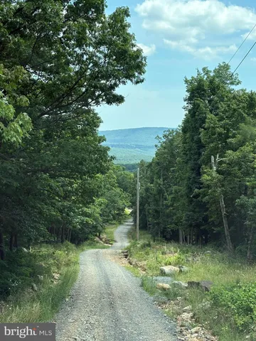 a view of outdoor space and yard