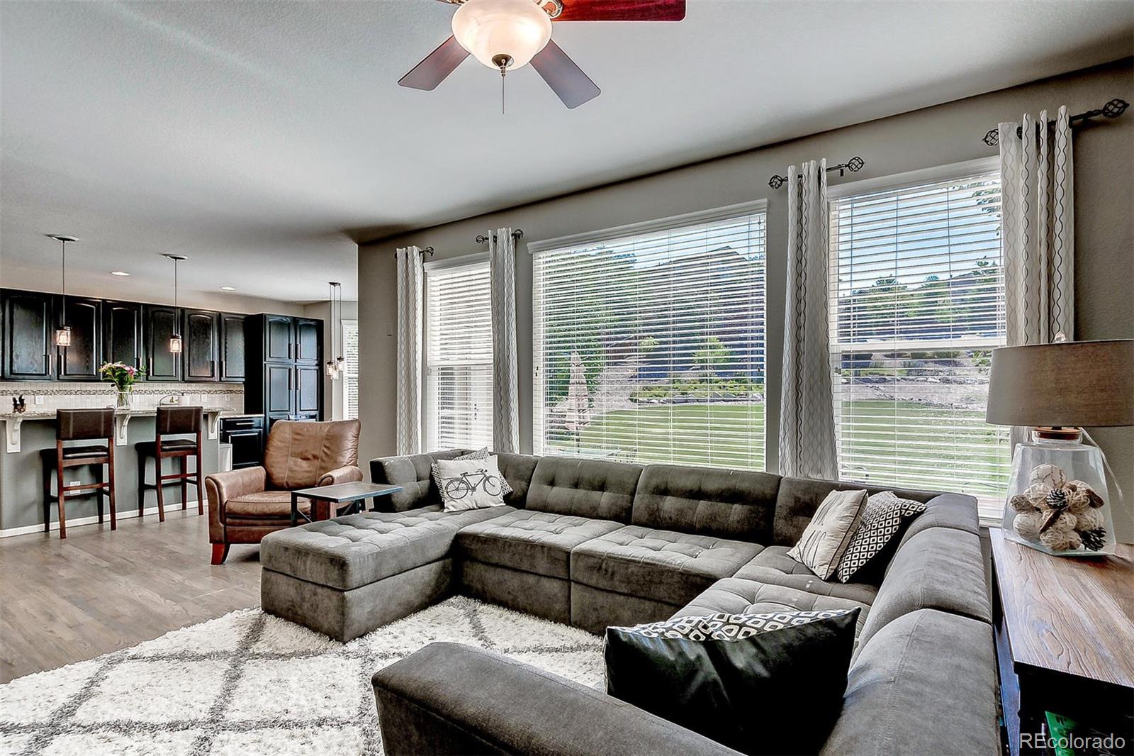 10476 Wagon Highlands Ranch Highlands Ranch, CO 80130 - Photo 8 of 28 Gallery Image 8