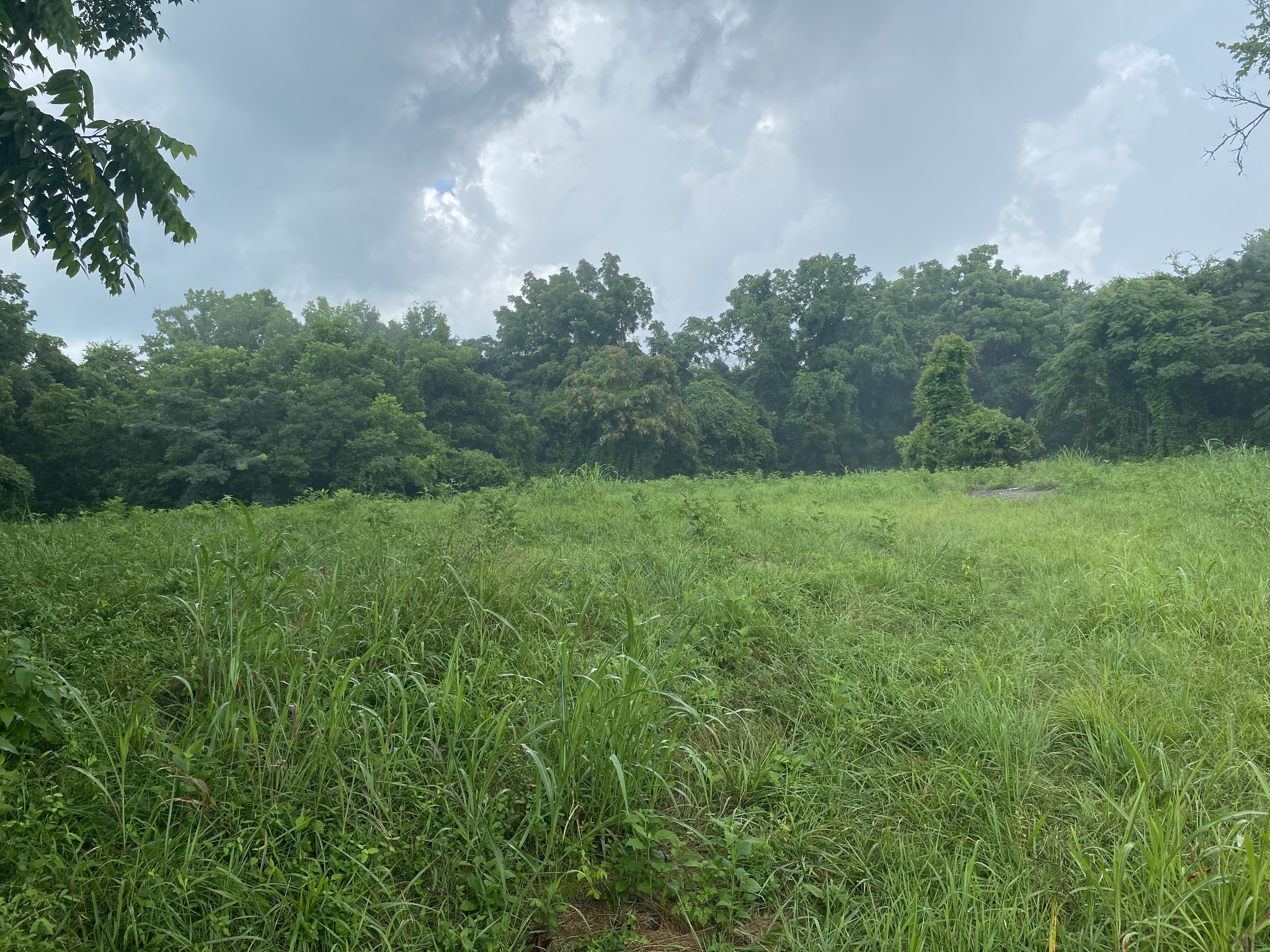 0 Johnson Road Pulaski, TN 38478 - Photo 1 of 3
