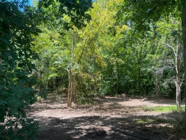 10129 Boyce Road Creedmoor, NC 27522 - Photo 5 of 12 a backyard of a house with lots of green space