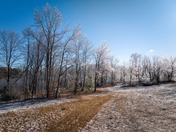 $180,000 | 10836 30th Avenue, Evart, MI 49631