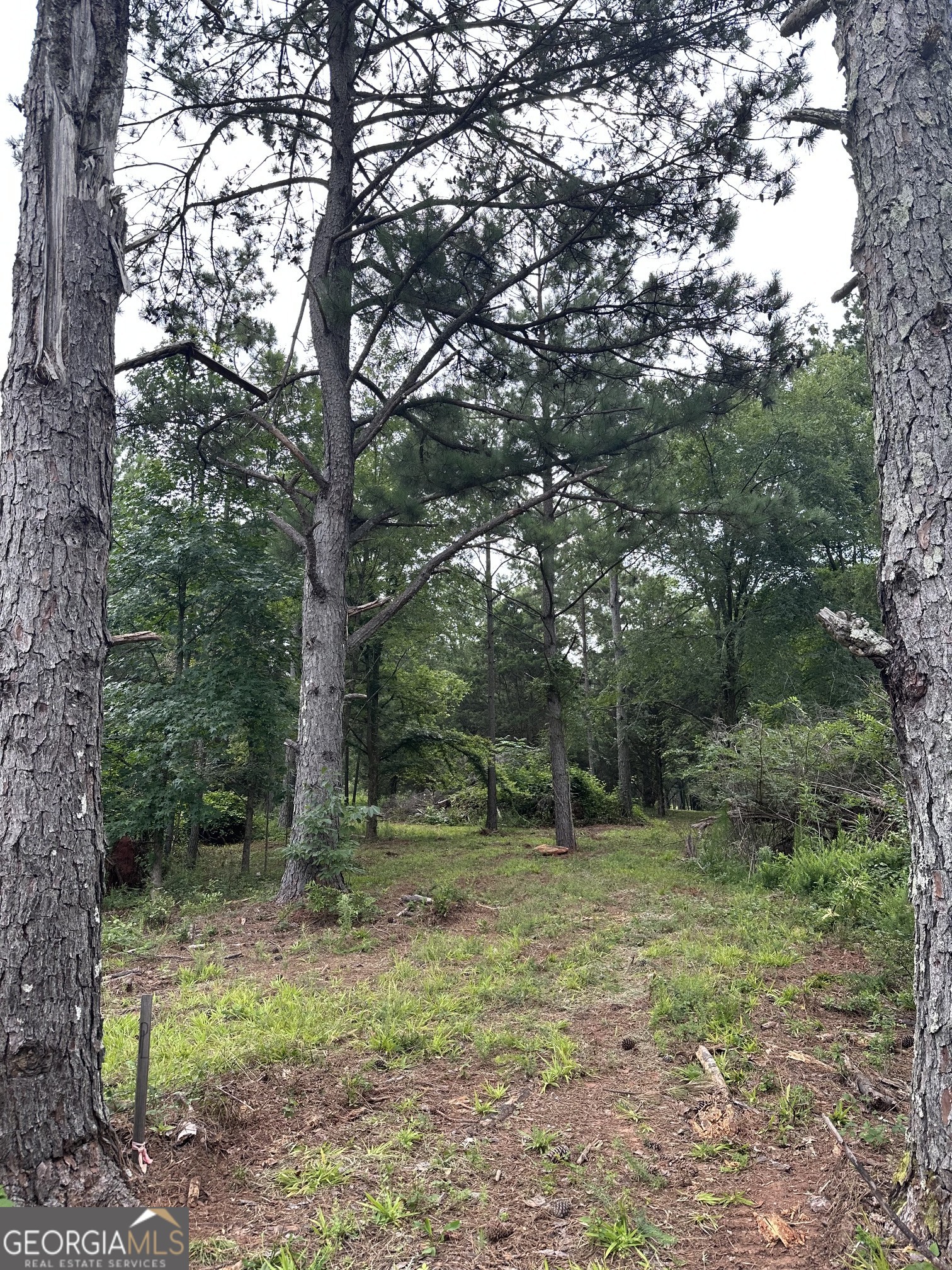 440 West Williamson Road Williamson, GA 30292 - Photo 6 of 23