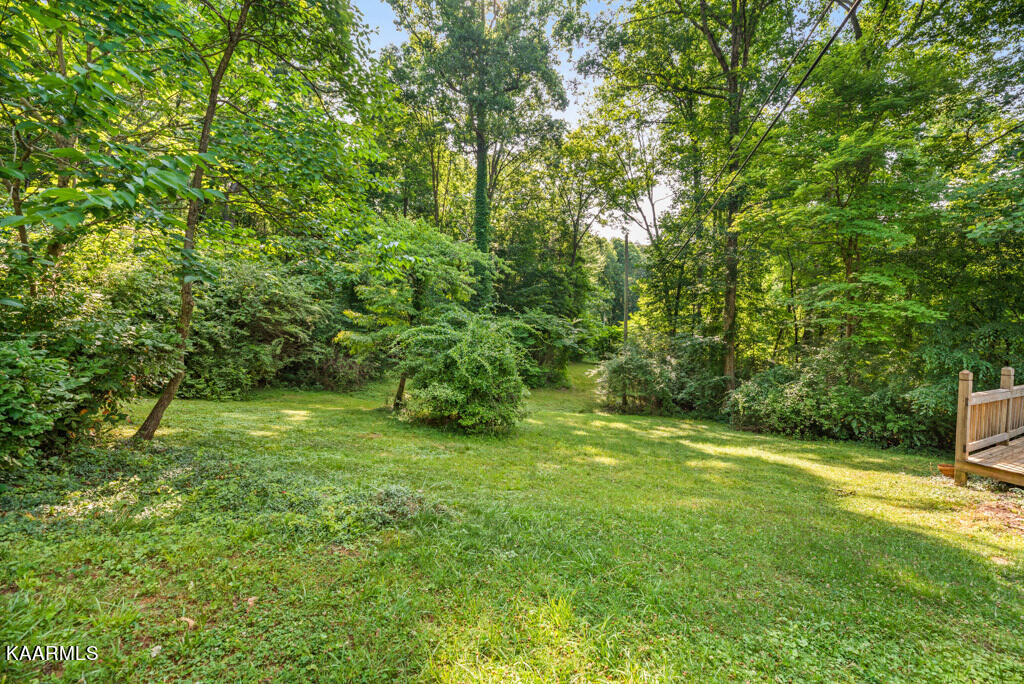 19 East Norris Road Norris, TN 37828 - Photo 41 of 56 IMG_6973