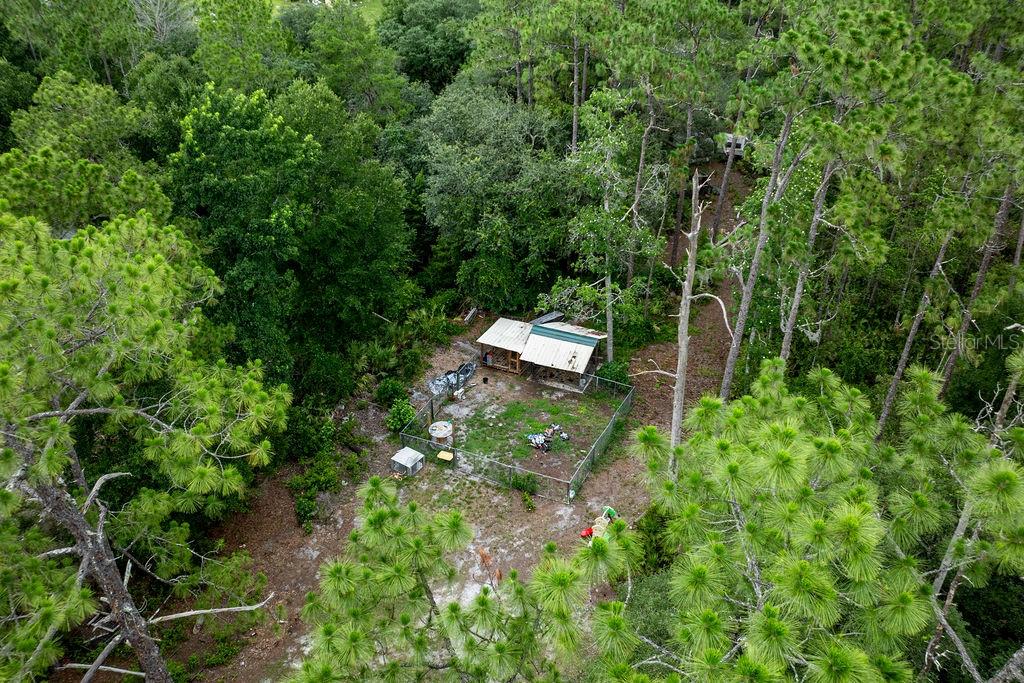 24821 Old Deer Road Paisley, FL 32767 - Photo 38 of 43