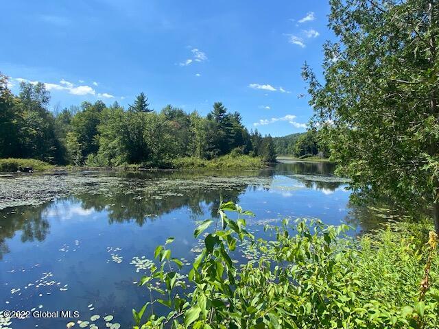 704 Creek Road Crown Point, NY 12928 - Photo 9 of 11 Putnam Pond