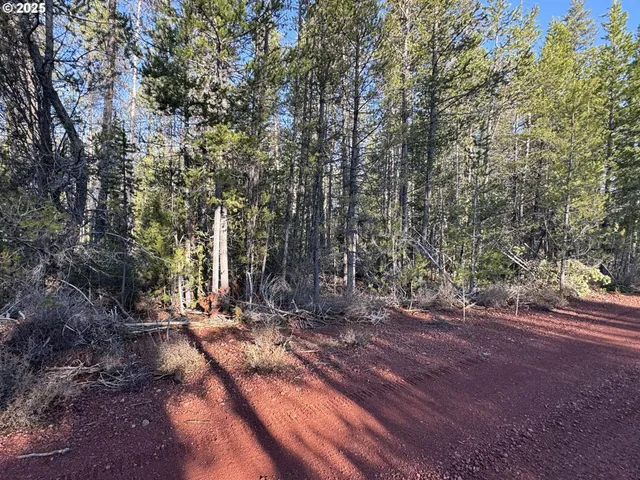 a view of a yard with trees