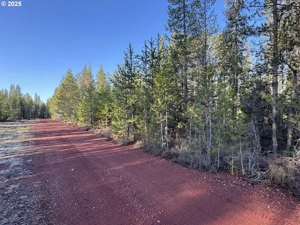 a view of an outdoor space with trees