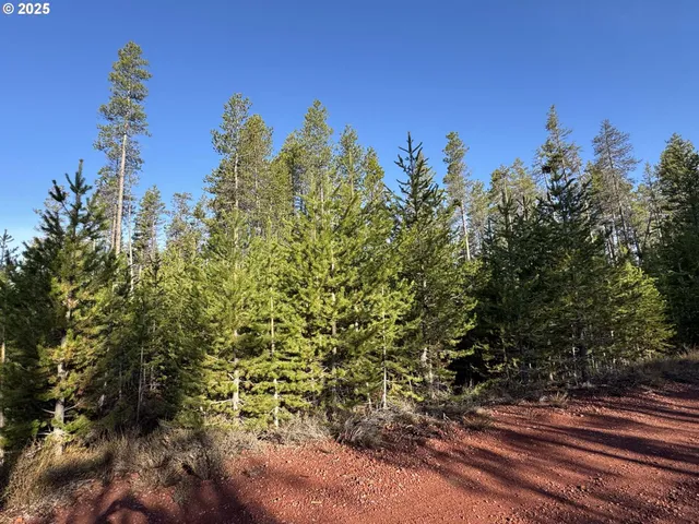 a view of a yard with plants and a building