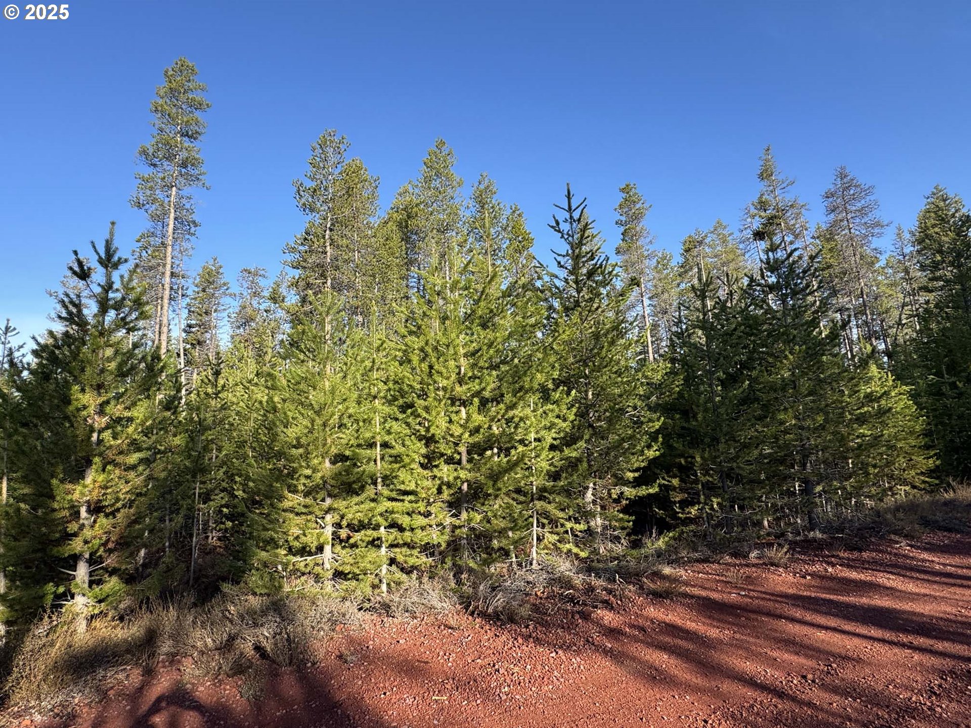 Artesian Drive, Unit TL 8 Chiloquin, OR 97624 - Photo 18 of 23 a view of a yard with plants and a building