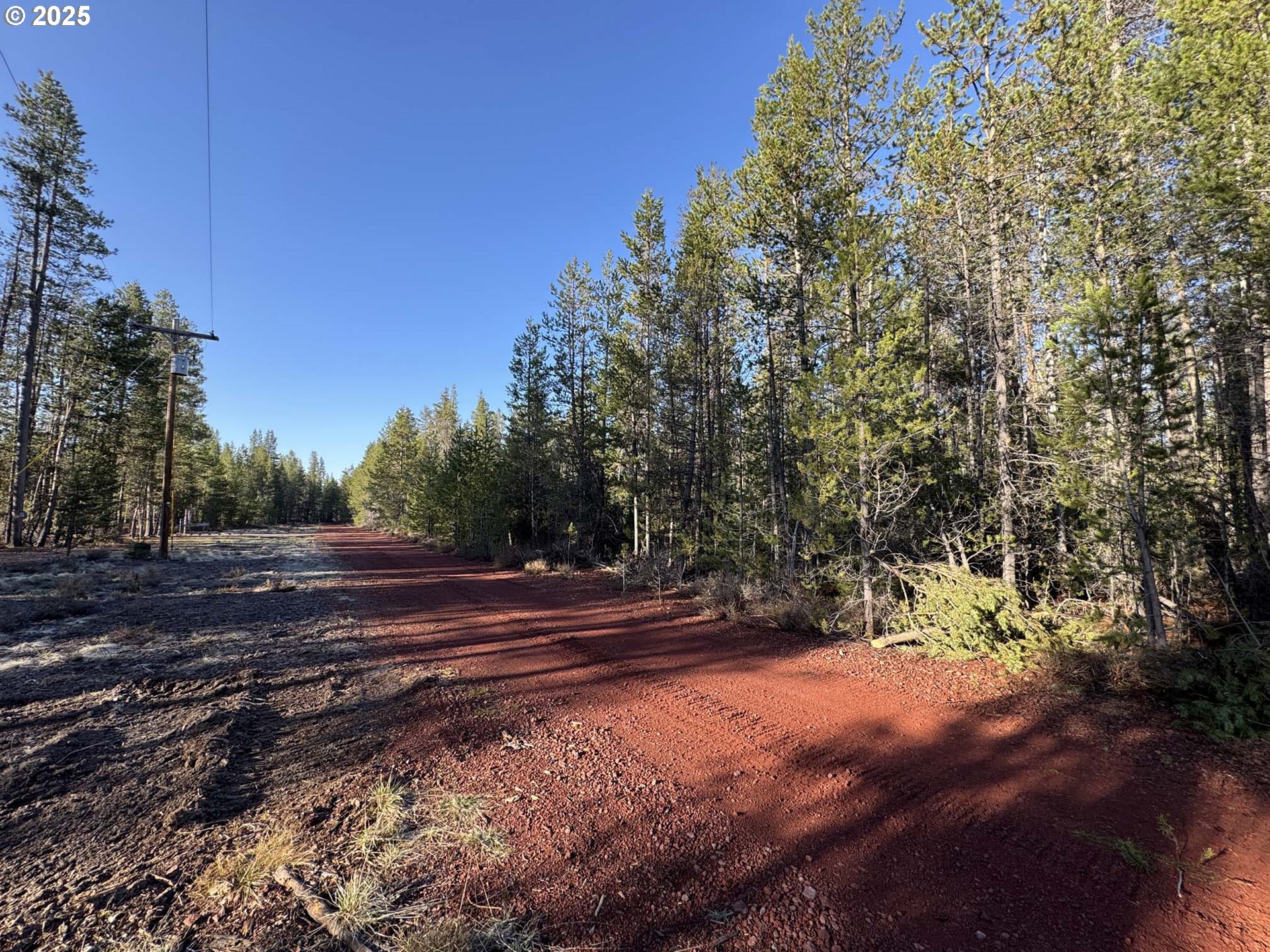 Artesian Drive, Unit TL 8 Chiloquin, OR 97624 - Photo 5 of 23 a view of a yard with large trees
