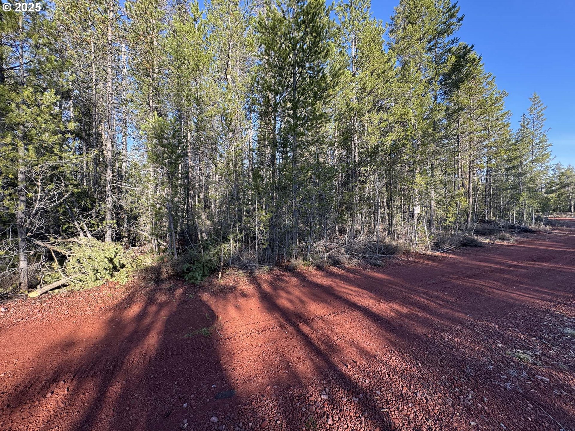 Artesian Drive, Unit TL 8 Chiloquin, OR 97624 - Photo 6 of 23 a view of a yard with a house