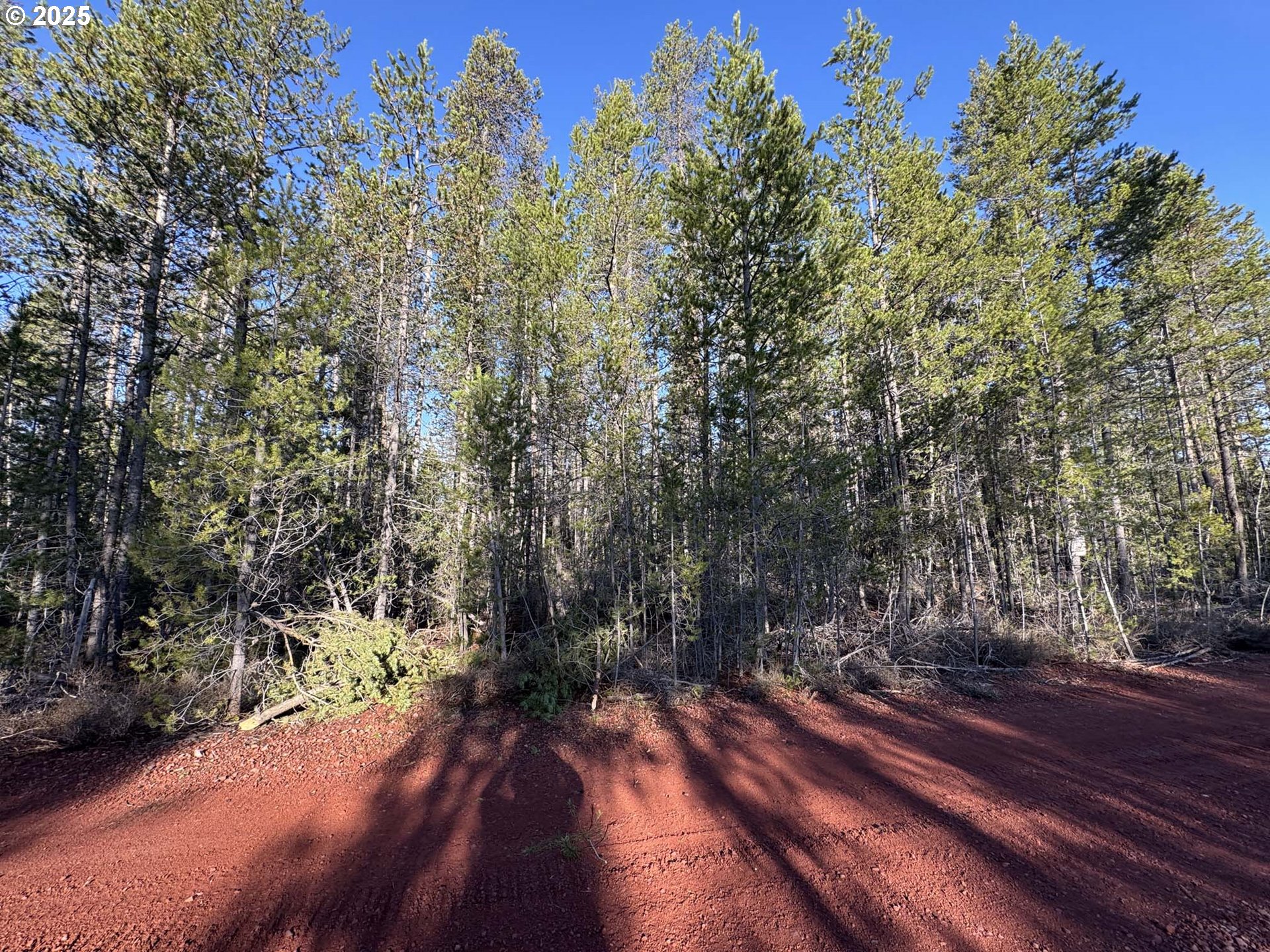 Artesian Drive, Unit TL 8 Chiloquin, OR 97624 - Photo 7 of 23 a view of a yard with plants and trees