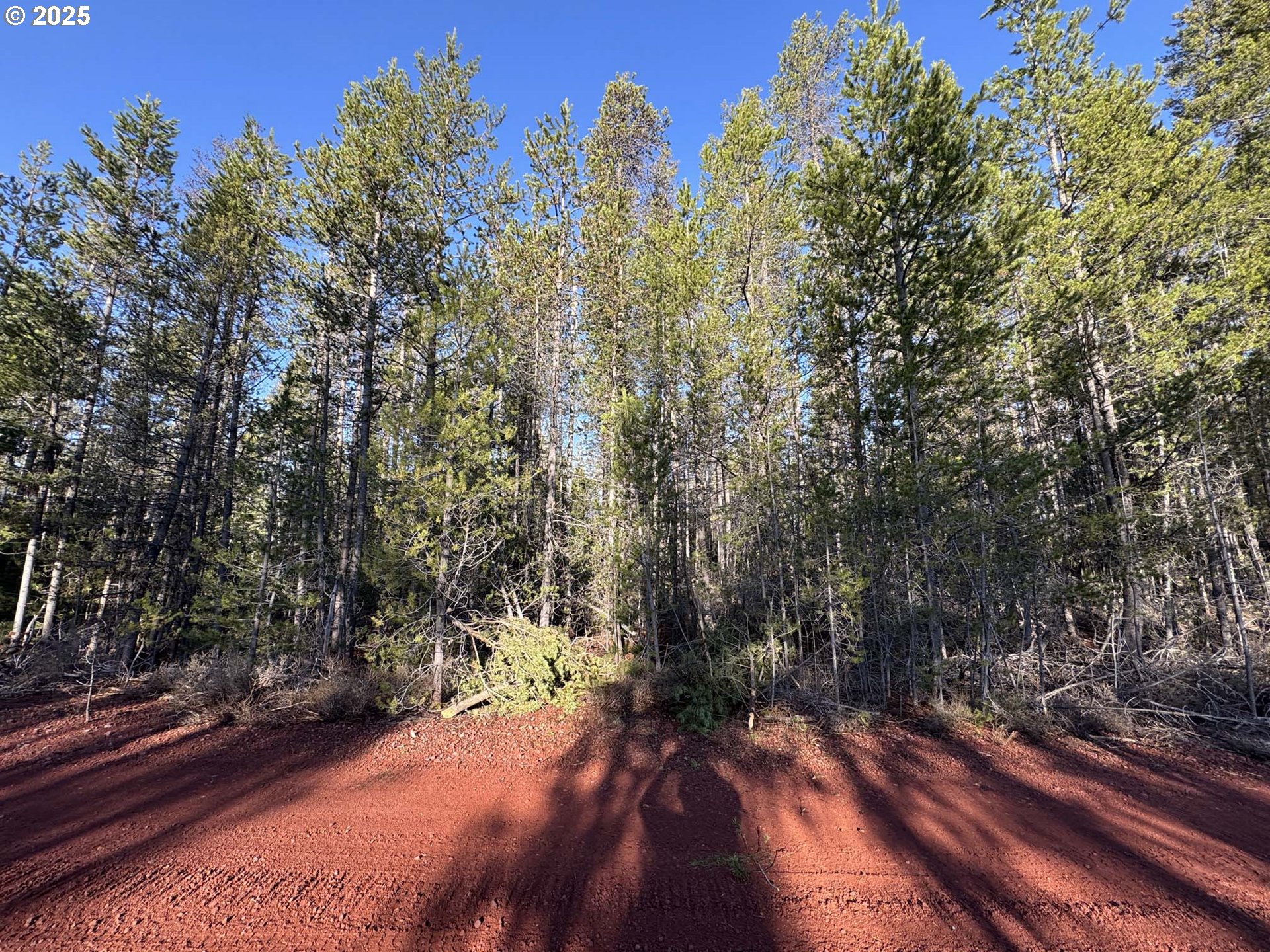Artesian Drive, Unit TL 8 Chiloquin, OR 97624 - Photo 8 of 23 a view of a yard