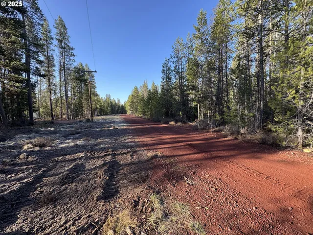 a view of backyard with green space