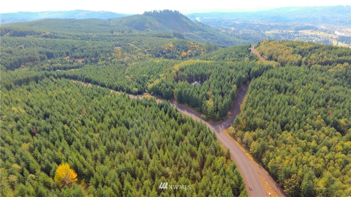 -lot Q Lot Q Ridgewood Castle Rock, WA 98611 - Photo 1 of 17