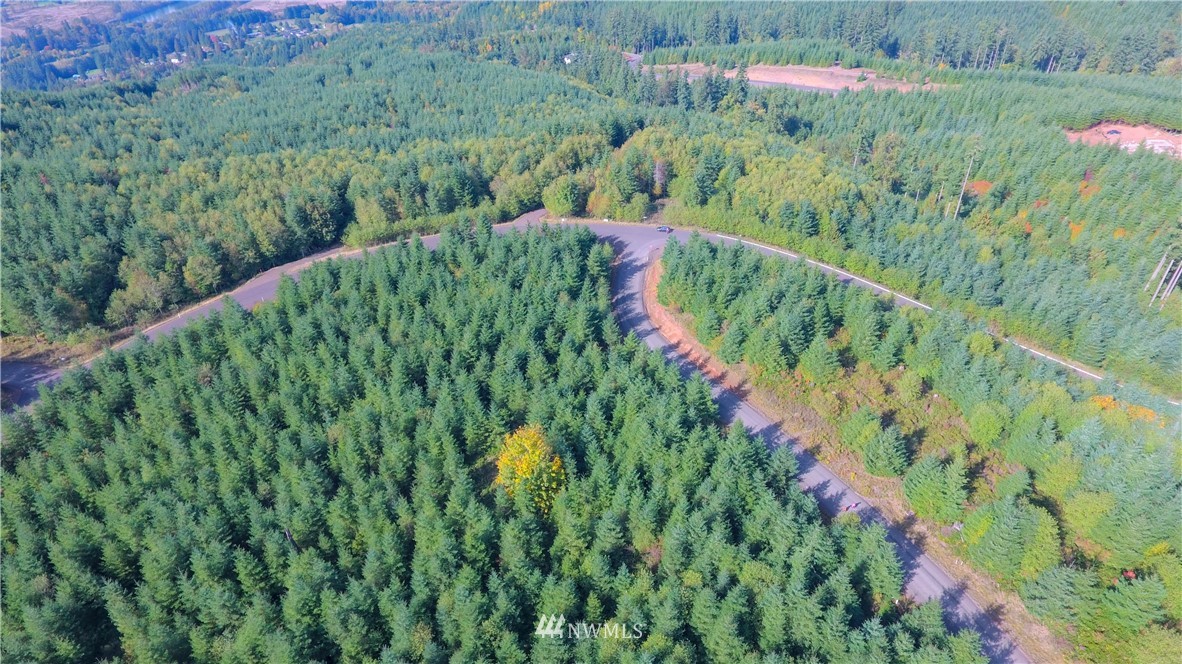 -lot Q Lot Q Ridgewood Castle Rock, WA 98611 - Photo 2 of 17