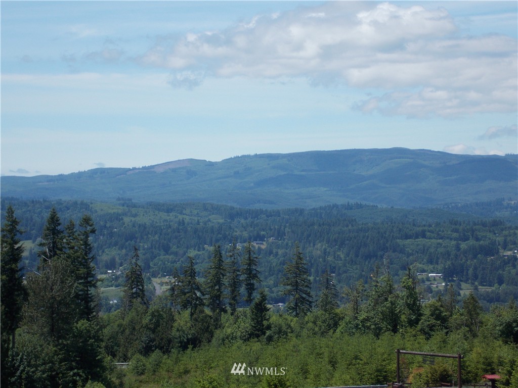 -lot Q Lot Q Ridgewood Castle Rock, WA 98611 - Photo 13 of 17