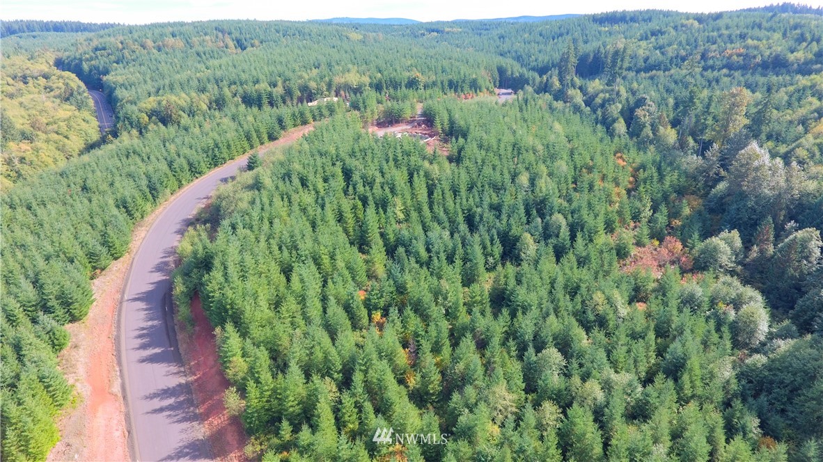 -lot Q Lot Q Ridgewood Castle Rock, WA 98611 - Photo 5 of 17