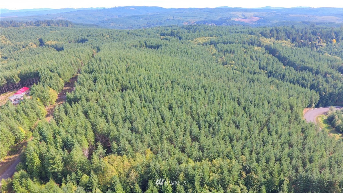 -lot Q Lot Q Ridgewood Castle Rock, WA 98611 - Photo 6 of 17