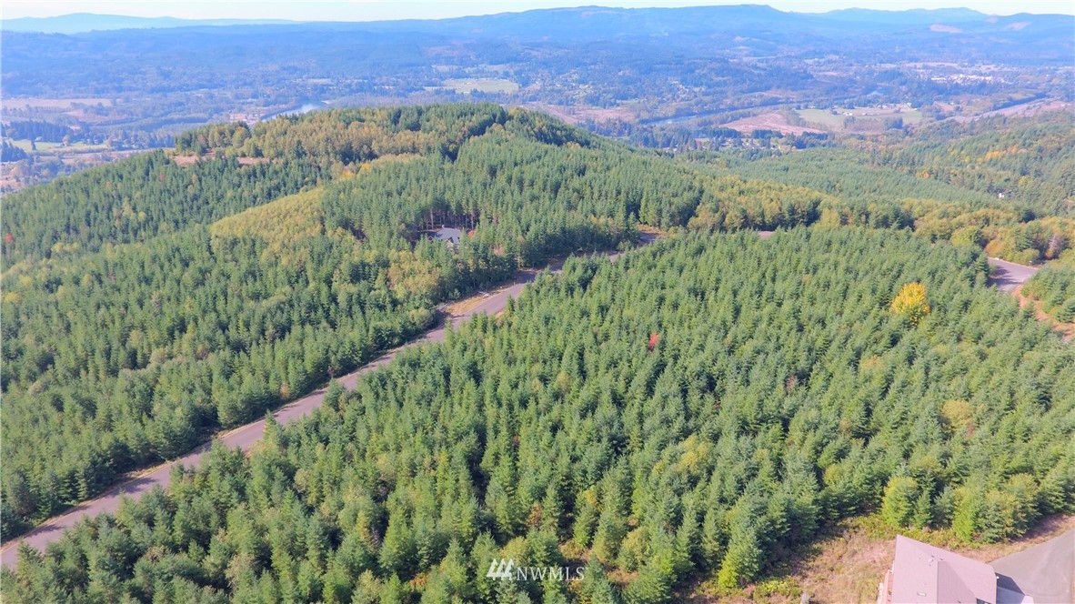 -lot Q Lot Q Ridgewood Castle Rock, WA 98611 - Photo 8 of 17