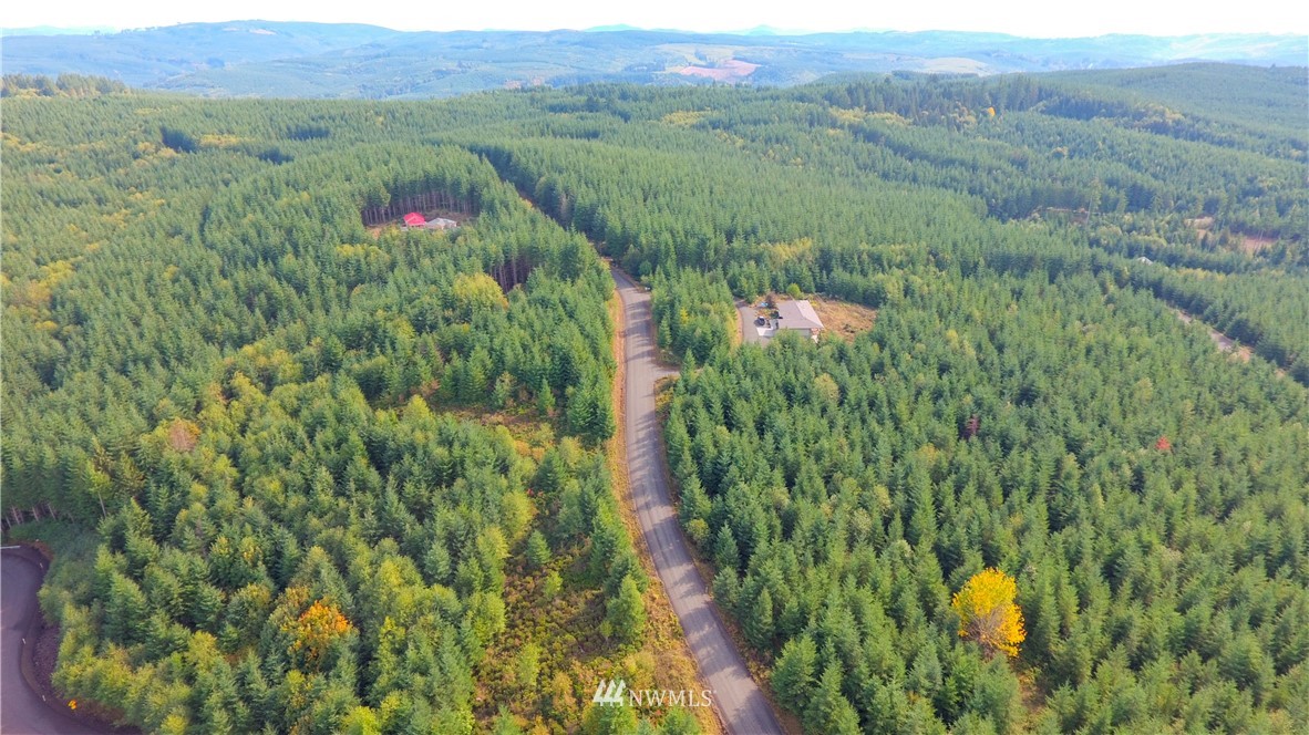 -lot Q Lot Q Ridgewood Castle Rock, WA 98611 - Photo 9 of 17