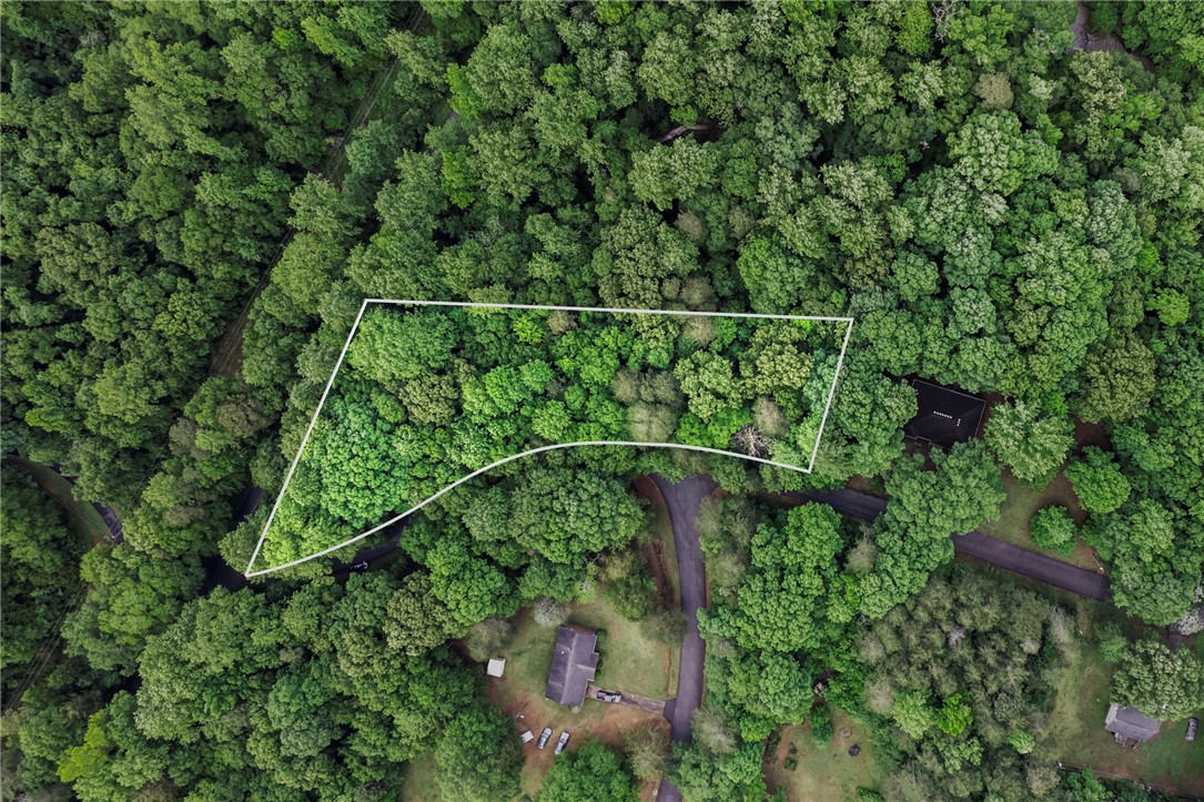 0 Burns Bridge Road Anderson, SC 29625 - Photo 1 of 3