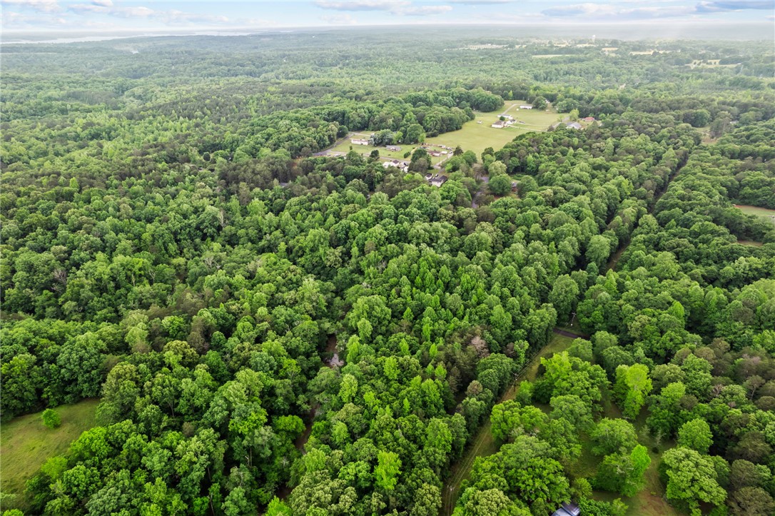 0 Burns Bridge Road Anderson, SC 29625 - Photo 3 of 3