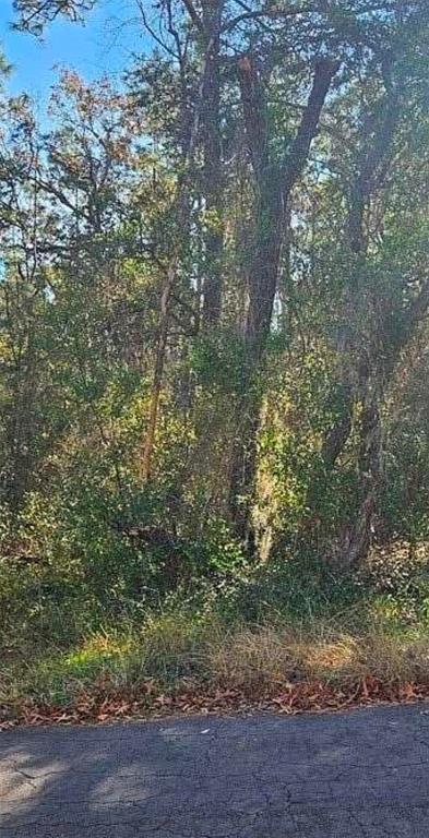 609 North Brighton Road Lecanto, FL 34461 - Photo 1 of 3