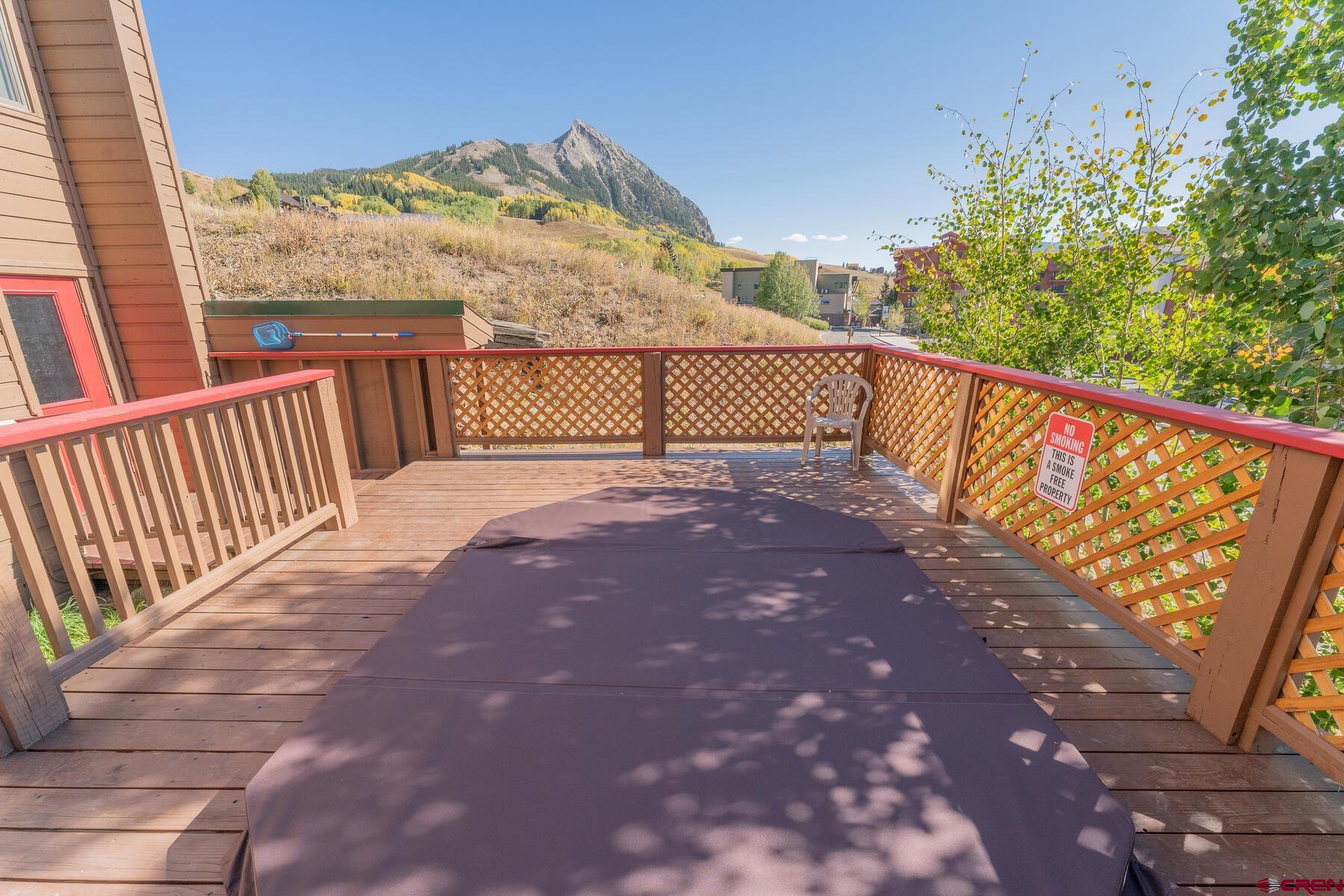 25 Emmons Road, Unit 13 Crested Butte, CO 81225 - Photo 4 of 31 Gallery Image 4