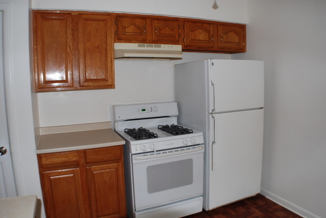 10033 Frontage Road, Unit F Skokie, IL 60077 - Photo 4 of 12