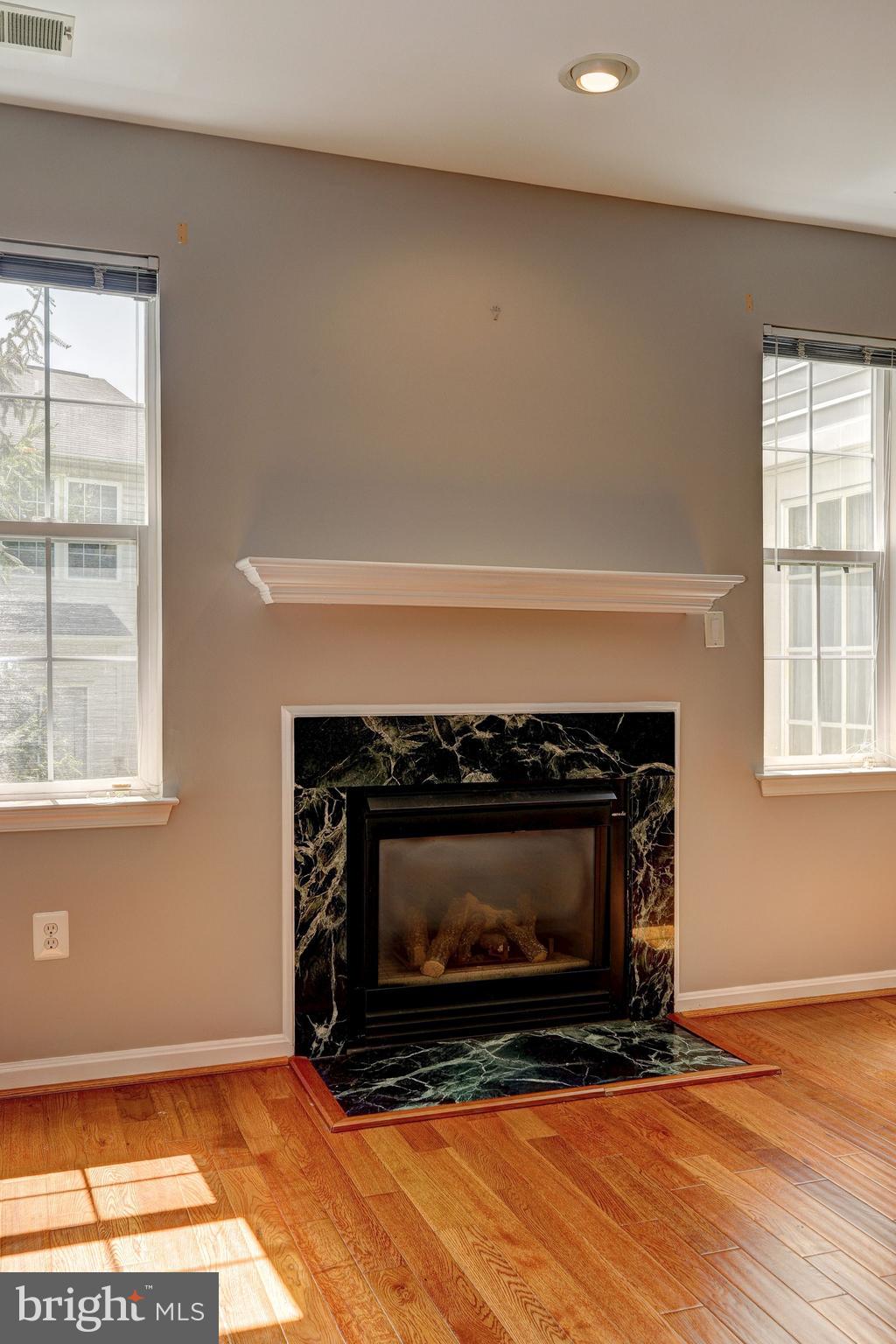 3 Hawk Rise Lane, Unit 103 Owings Mills, MD 21117 - Photo 11 of 41 Gas Fireplace