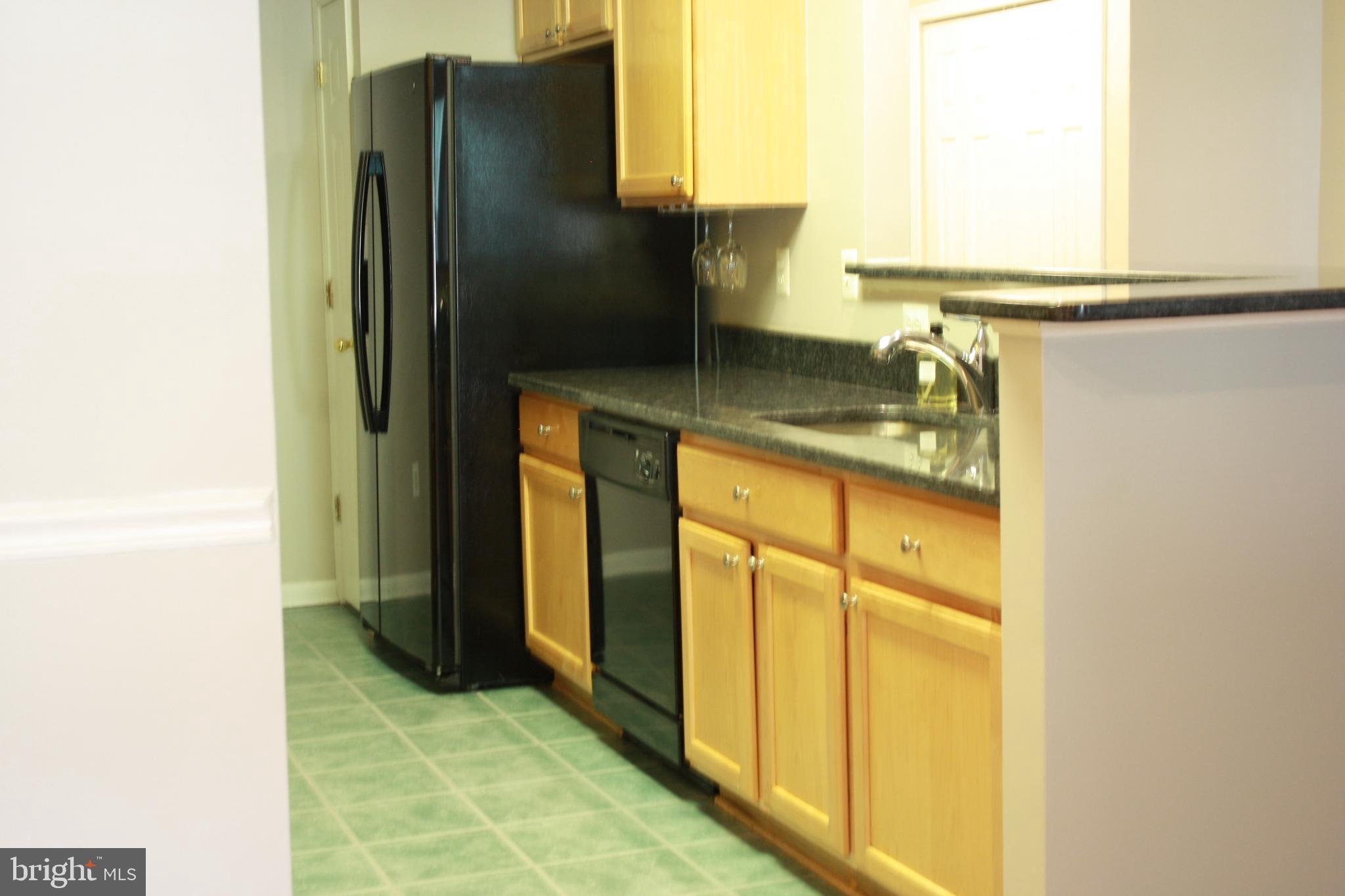 3 Hawk Rise Lane, Unit 103 Owings Mills, MD 21117 - Photo 15 of 41 Updated Kitchen