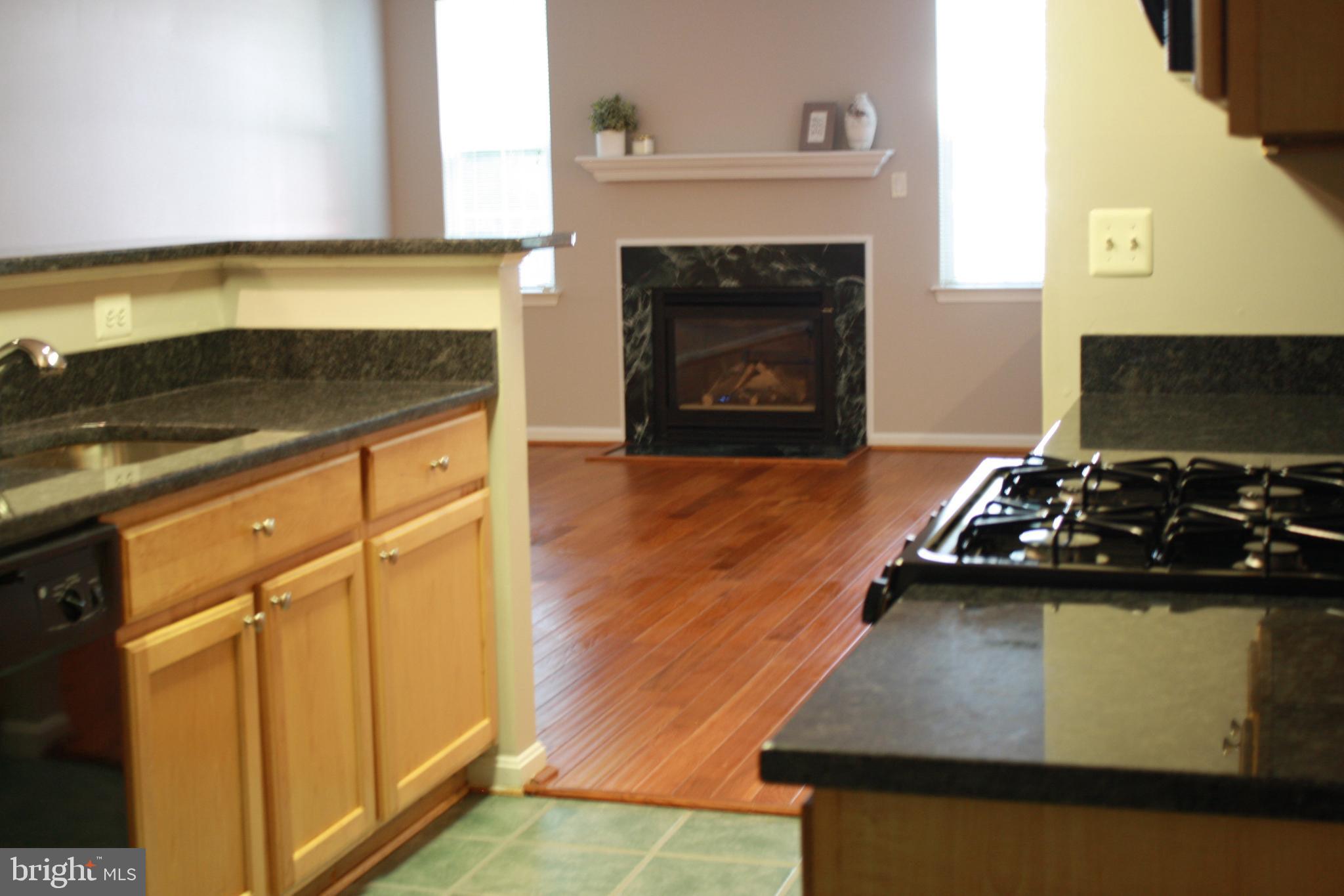 3 Hawk Rise Lane, Unit 103 Owings Mills, MD 21117 - Photo 16 of 41 Kitchen with NEW Granite Counters