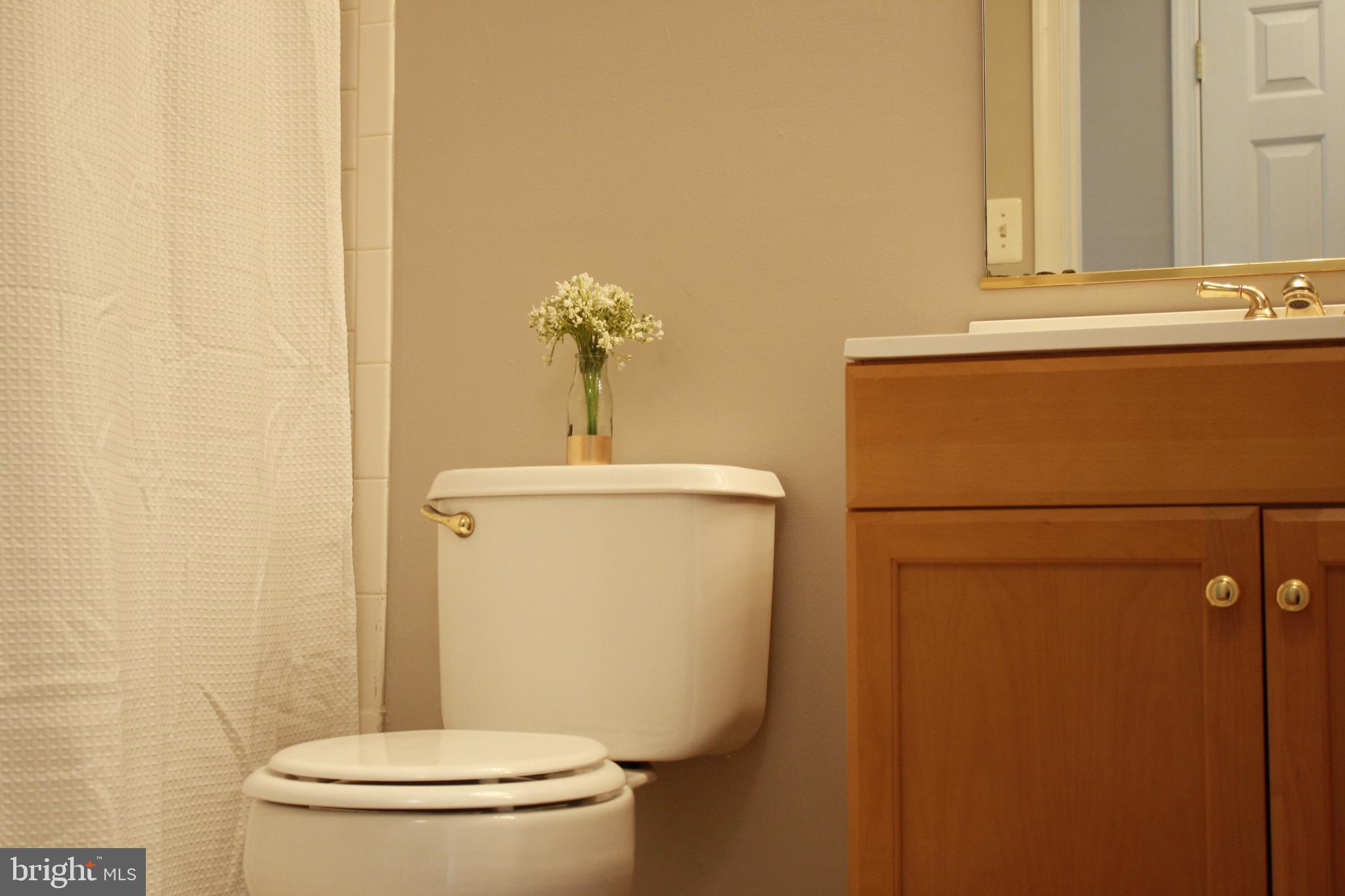 3 Hawk Rise Lane, Unit 103 Owings Mills, MD 21117 - Photo 21 of 41 Full Bath with NEW Vanity