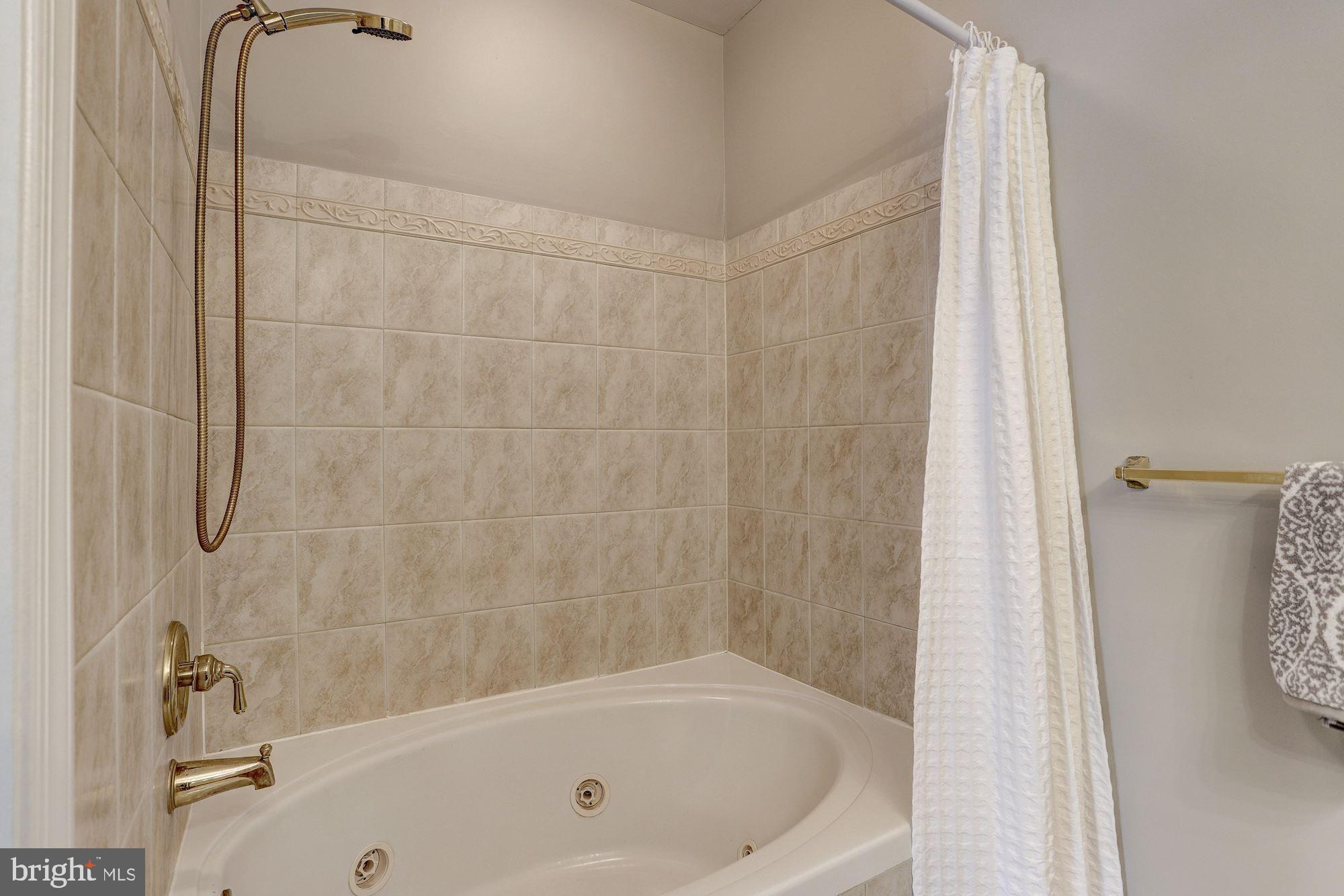 3 Hawk Rise Lane, Unit 103 Owings Mills, MD 21117 - Photo 22 of 41 Master Bathroom with Jacuzzi Tub