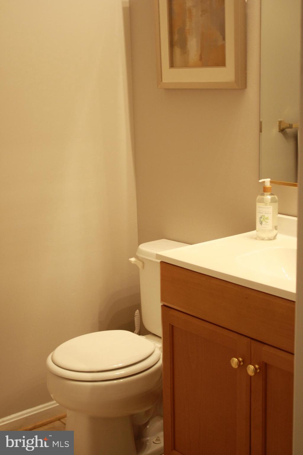 3 Hawk Rise Lane, Unit 103 Owings Mills, MD 21117 - Photo 25 of 41 Master Bath with NEW Vanity
