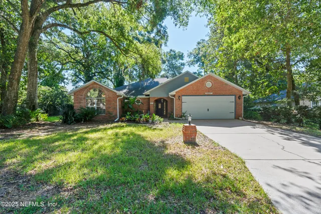 a view of a garden with potted plants